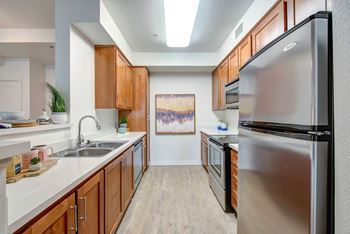 Deluxe Kitchens with Stainless Steel Appliances and CaesarStone Countertops